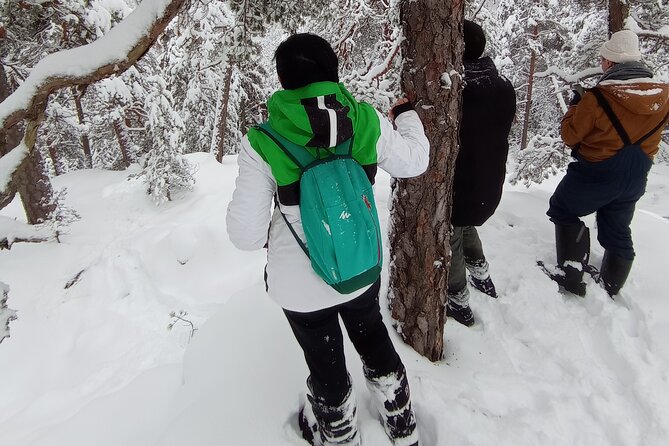 Hiking tour in Nuuksio National Park with meal and snacks - Learning the forest from David