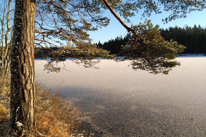 Hiking tour in Nuuksio National Park with meal and snacks - Glögi, berry tea, and a forest lunch