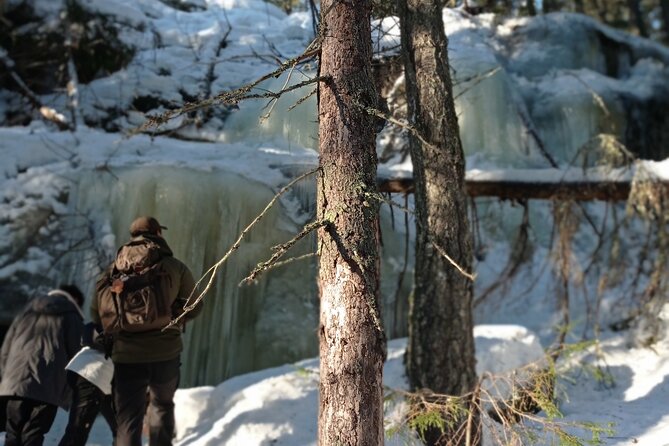 Hiking tour in Nuuksio National Park with meal and snacks - Who will enjoy this hike most