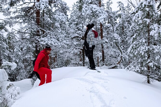 Hiking tour in Nuuksio National Park with meal and snacks - Meeting David in central Helsinki