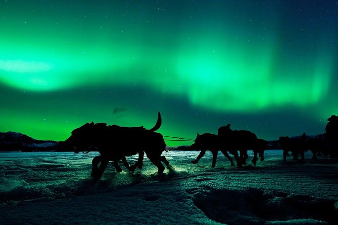 Hunting Northern Lights with Husky - Meeting the husky team