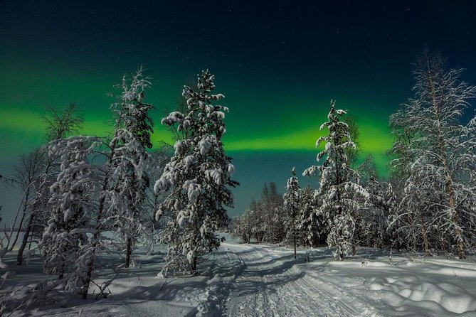 Hunting Northern Lights with Husky - The Northern Lights search