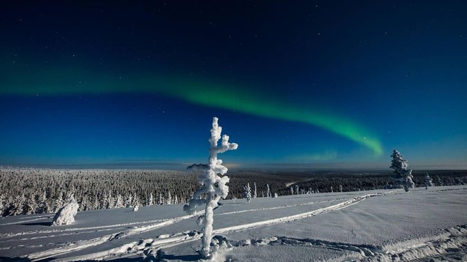 Hunting Northern Lights with Husky - Timing, waiting, and group size