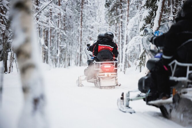 Husky and Reindeer Experience With Snowmobiling - Key points to know before booking