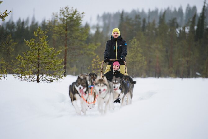 Husky Sledding Self-driving in Rovaniemi - What the 10:30 Start Looks Like