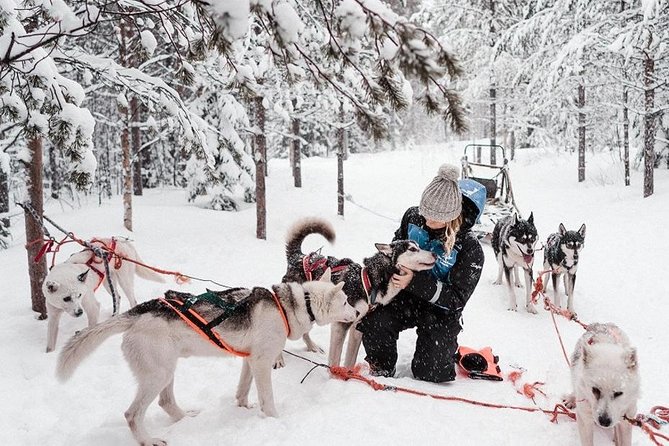 Ice Fishing and Husky - Two Finnish Arctic traditions in 4.5 hours