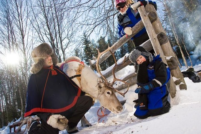 In Pursuit of Reindeer - Snowmobile safari to reindeer farm in Rovaniemi - Key points at a glance
