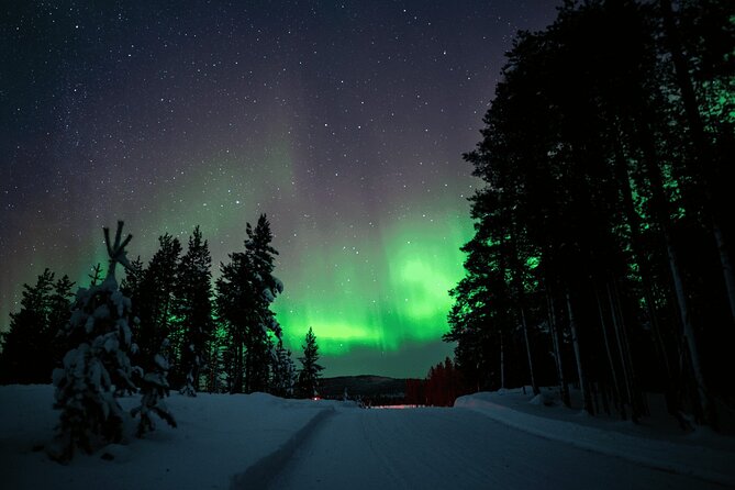 Ivalo: Aurora Hunting with Reindeer - Meeting the reindeer at the fence