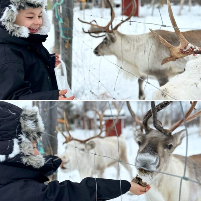 Ivalo: Ice Fishing Tour to Lake Inari, Reindeers & Lunch - Tina and Tapio’s island home