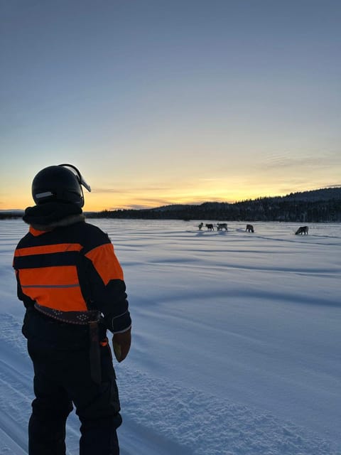 Ivalo: Ice Fishing Tour to Lake Inari, Reindeers & Lunch - Is the $194 price good value?