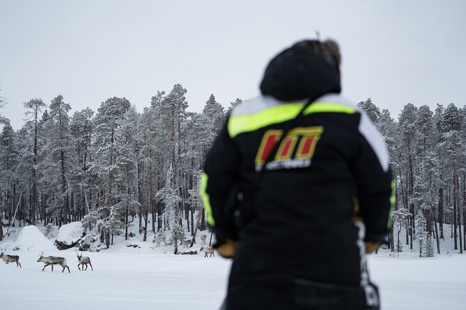 Ivalo: Reindeer herd and fishing experience - Crossing to the fishing lake