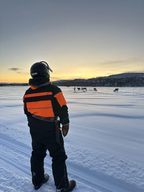Ivalo: Snowmobile Safari, Meet and Feed Reindeers with Lunch - Where this safari fits in a Lapland trip