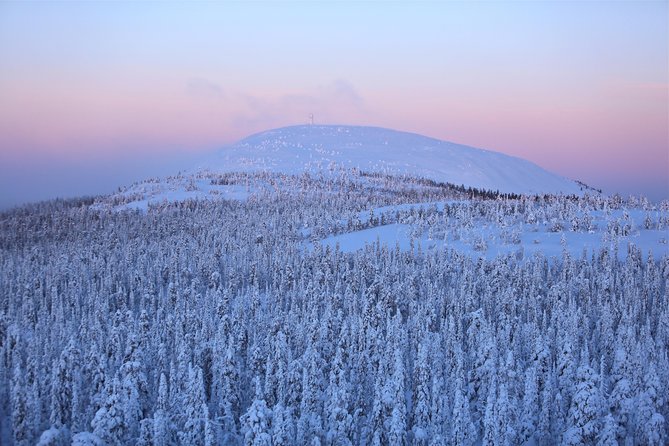 Jewels Of Lapland: Visit to Amethyst Mine in Luosto - Reaching the top of the ancient Lampivaara mountains