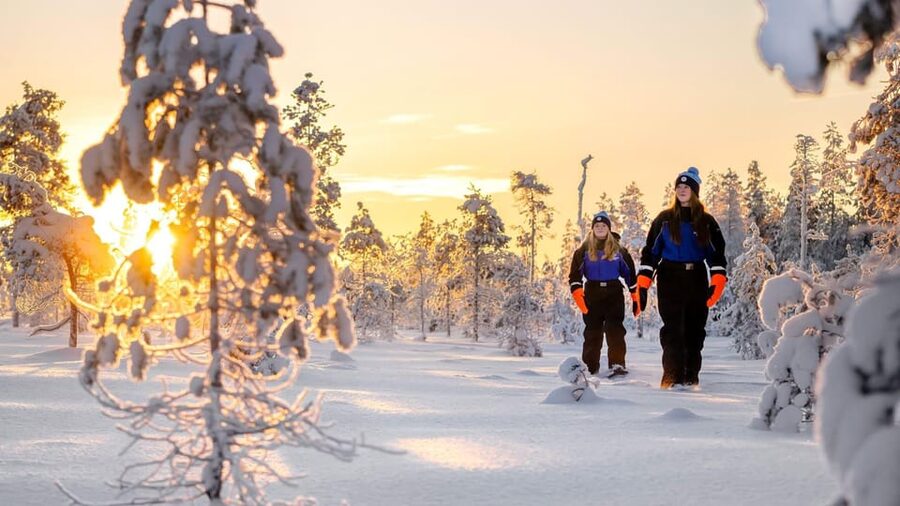 Kemi-Tornio: Nature tour with snowshoes - Starting at Sea Lapland Safaris in Kemi