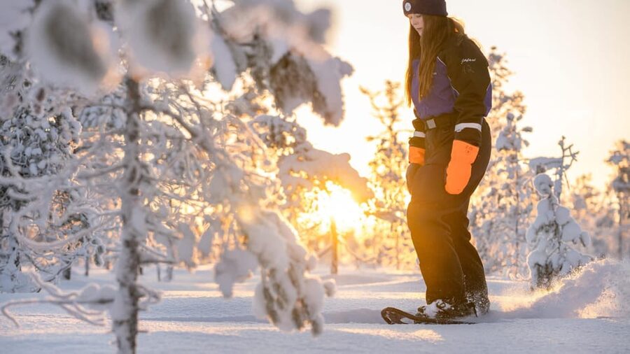 Kemi-Tornio: Nature tour with snowshoes - Learning to walk on snowshoes