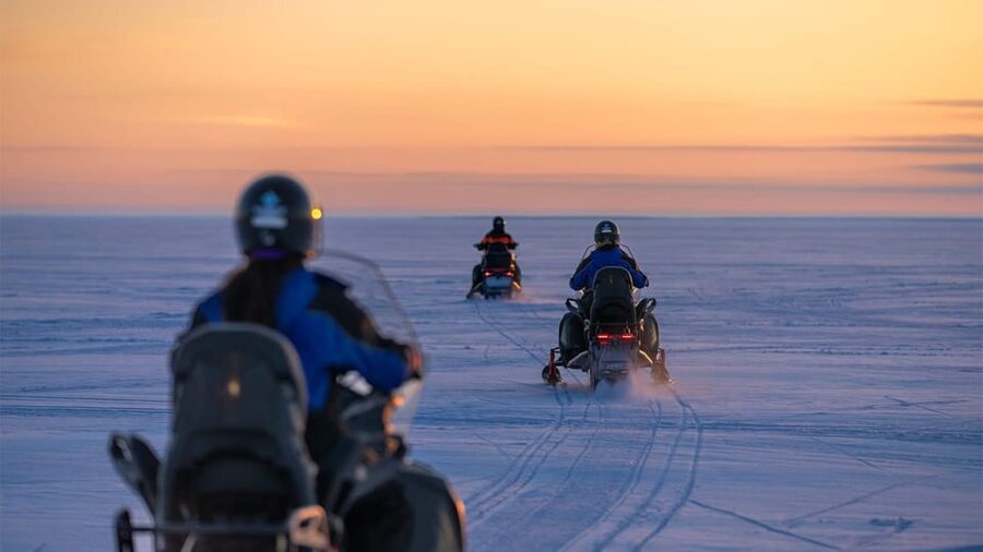 Kemi-Tornio: Snowmobile Forest Safari w/ Hot Drink & Snacks - Key points to know before you book