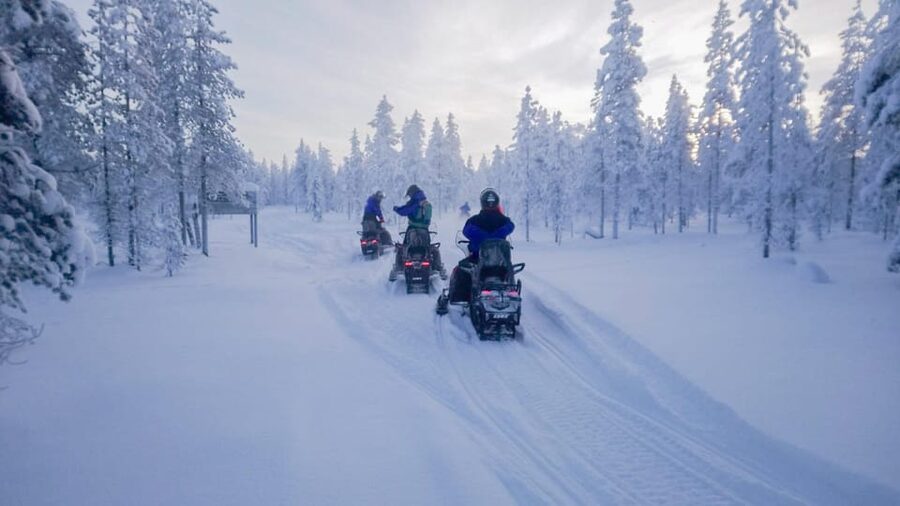 Kemi-Tornio: Snowmobile Forest Safari w/ Hot Drink & Snacks - Crossing the frozen Bothnian Bay from Kemi