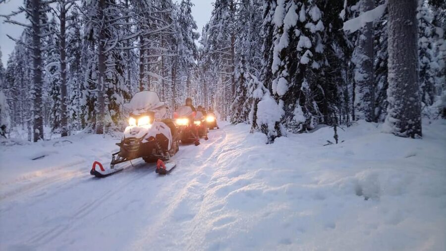 Kemi-Tornio: Snowmobile Forest Safari w/ Hot Drink & Snacks - Following tracks through the snowy forest