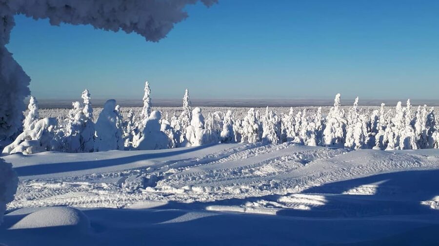 Kemi-Tornio: Snowmobile Forest Safari w/ Hot Drink & Snacks - How the snowmobile sharing works