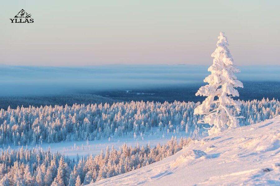 King of Ylläs: Snowmobiling to the Hill - Clear skies bring the big reward