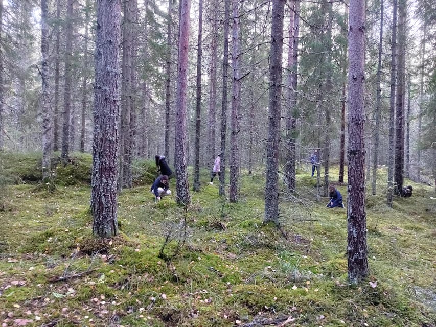 Kintulammi Nature Experience (Nature reserve near Tampere) - Key points at a glance