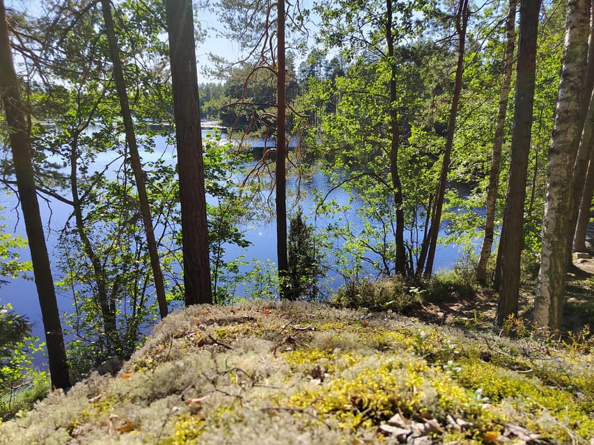 Kintulammi Nature Experience (Nature reserve near Tampere) - Forest walking with Patrick’s plant and tree knowledge