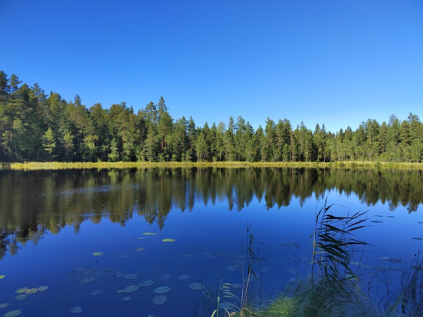 Kintulammi Nature Experience (Nature reserve near Tampere) - Fitness, clothing, water, and food needs