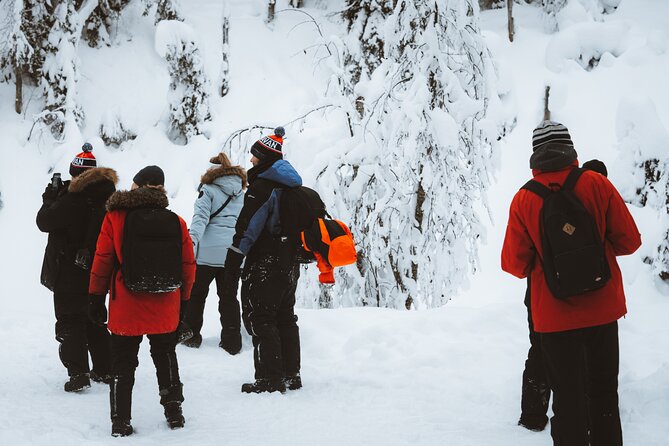 Korouoma Canyon Frozen Waterfalls - Warm clothes make a real difference