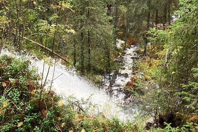 Korouoma Canyon: Frozen Waterfalls Hike & BBQ Experience - Sausages, rice pies, and coffee beside the fire
