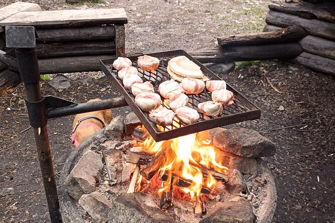 Korouoma Canyon: Frozen Waterfalls Hike & BBQ Experience - What the $159 price includes