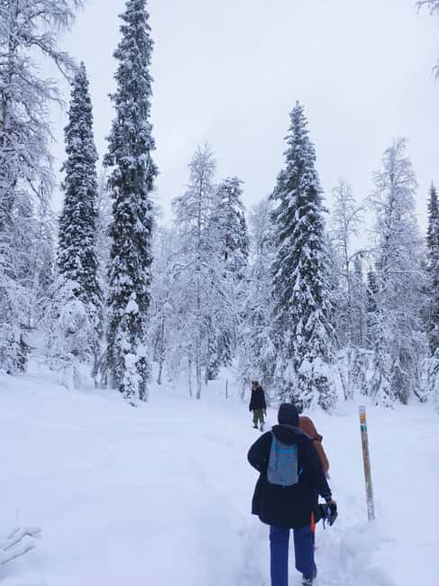 Korouoma Canyon Frozen Waterfalls Hike & Private Teepee BBQ - The waterfalls reward patience and warm clothing
