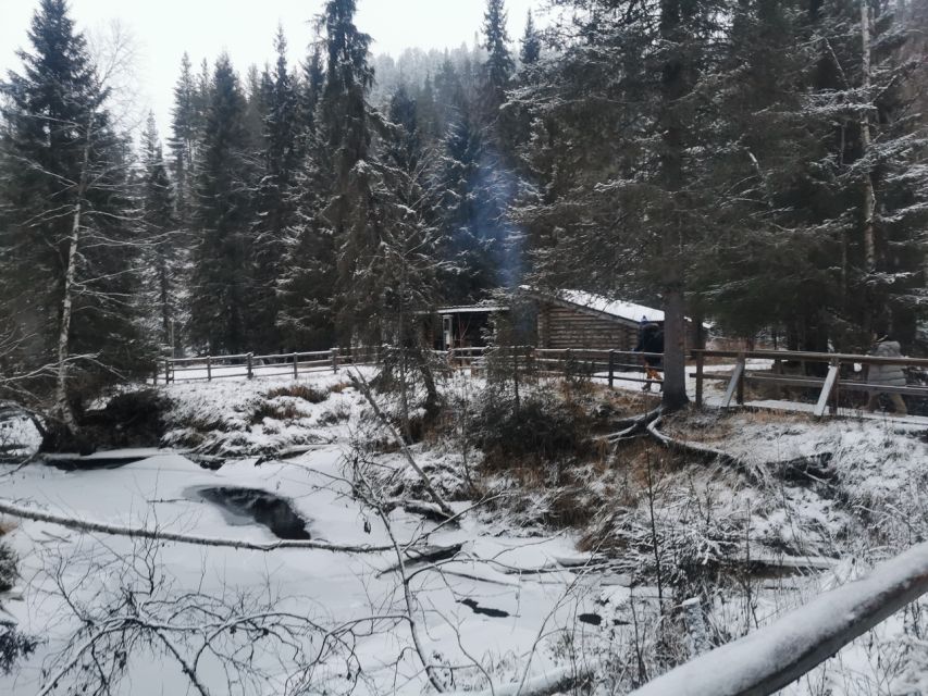 Korouoma Canyon Frozen Waterfalls Hike & Private Teepee BBQ - What the 2.5-hour Korouoma hike feels like