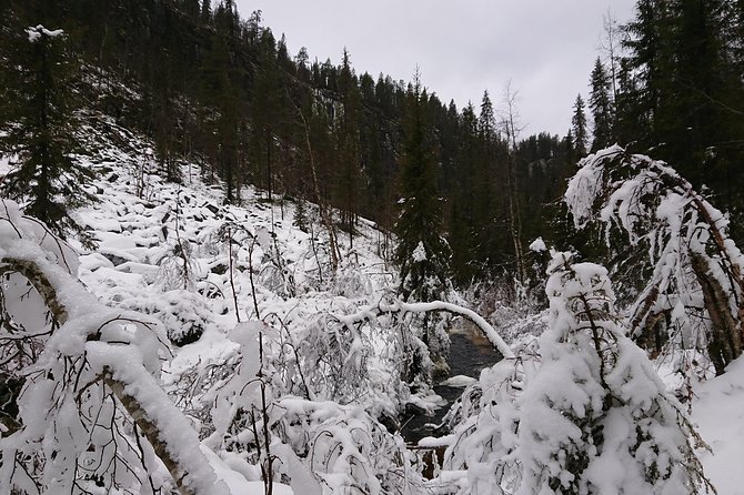 Korouoma Canyon & Ranua Zoo Tour - What the moderate Korouoma hike demands