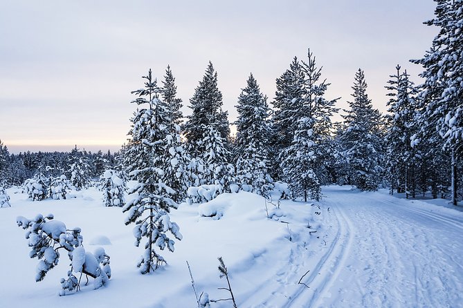 Korouoma Canyon Snowshoe Trip - A fire-cooked lunch in the forest