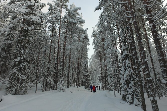 Korouoma national park and frozen waterfalls hiking tour - The morning start and ride from Rovaniemi