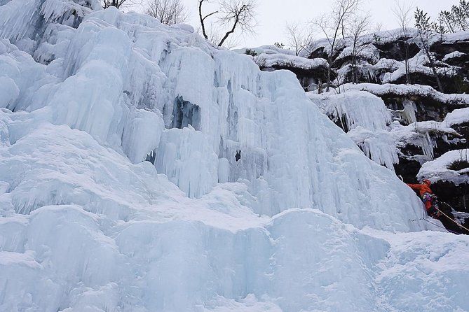 Korouoma National Park & Frozen Waterfalls Adventure - Campfire food and hot drinks