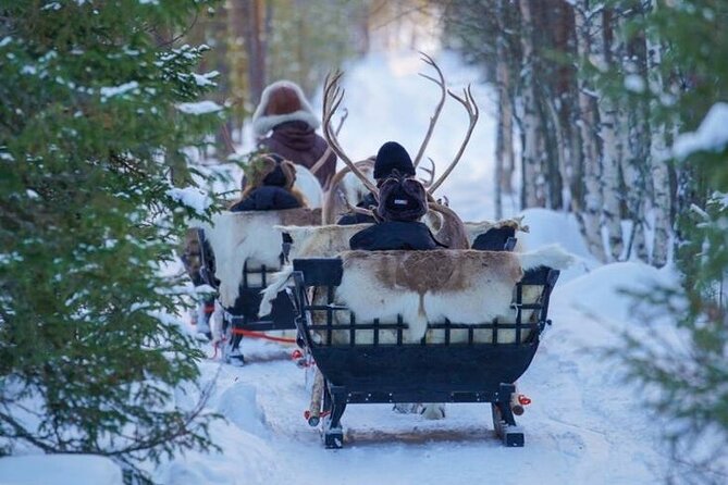 Kuoksa Reindeer Farm Visit with a Short Sleigh Ride - What happens during the three-hour visit