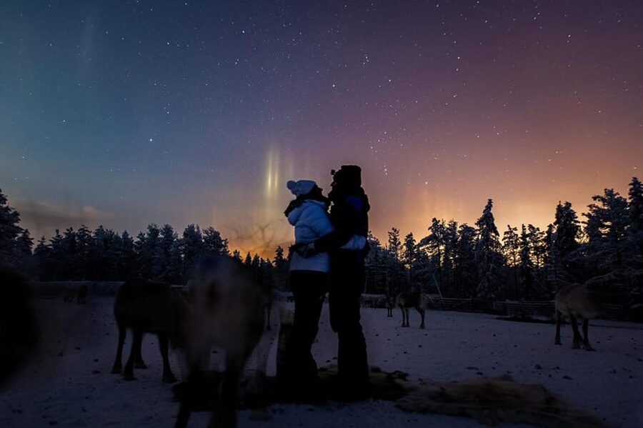 Kuusamo: Reindeer Farm Visit - Meeting the reindeer at Kujala Farm