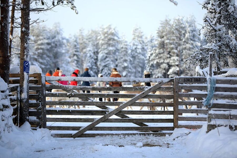 Kuusamo: Reindeer Farm Visit - The handicrafts workshop and boutique