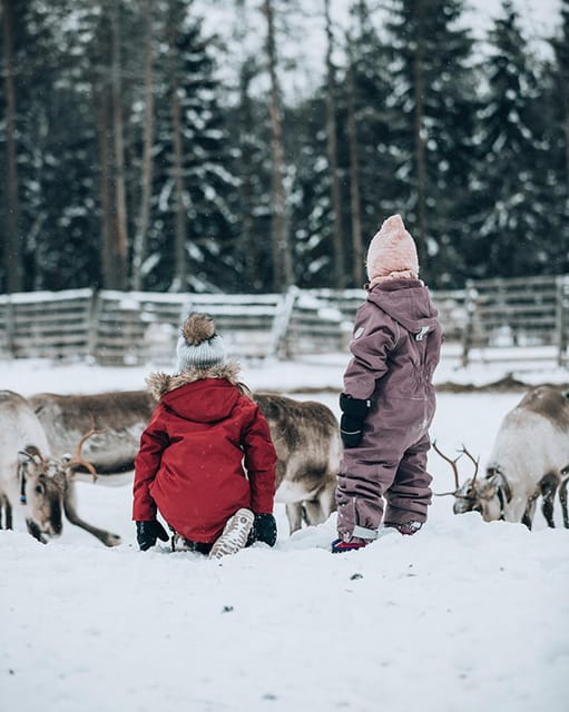 Kuusamo: Reindeer Farm Visit - A practical one-hour plan