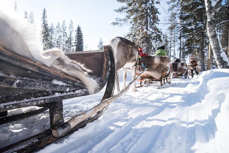 Kuusamo: Reindeer Sleigh Ride and Farm Visit - Key points to know before you book