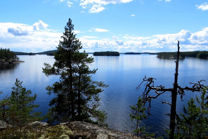 Lake Saimaa Small-Group Cruise with Stories and Music - Why the quiet ecoboat changes the mood