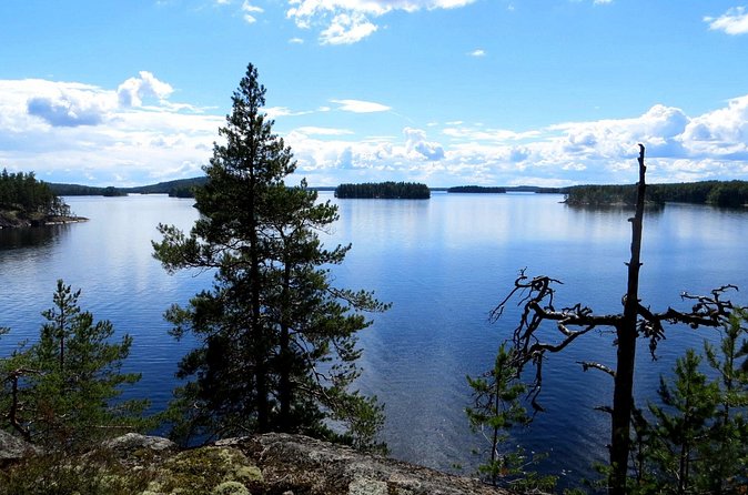 Lake Saimaa Small-Group Cruise with Stories and Music - Is $42.24 fair for 90 minutes?