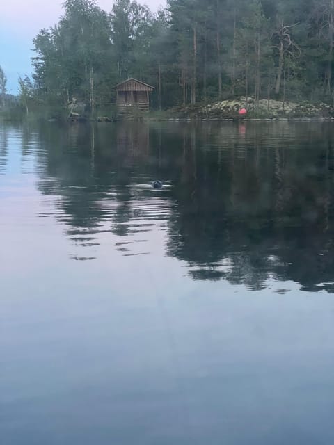 Lake Saimaa story cruise by Ecoboat in Puumala - A quiet ride on an electric Ecoboat