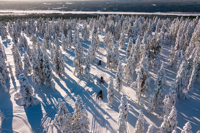 Lapland Family Snowmobile Safari from Levi - Timing, weather and practical limits
