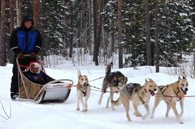 Lapland Husky Safari from Saariselkä - Is $382.25 per person fair value?