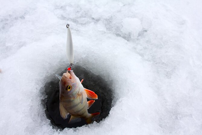 Lapland Ice Fishing Experience from Rovaniemi - Walking through snow with optional snowshoes