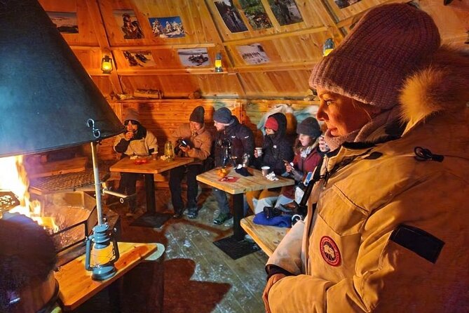 Lapland In A Day - Reindeer, Sledding, Snowmobile & Nature - From Rovaniemi To Vikajärvi At 1:00 PM