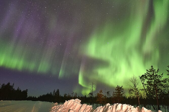 Lapland In A Day - Reindeer, Sledding, Snowmobile & Nature - Downhill Sledding And The Snow Slide