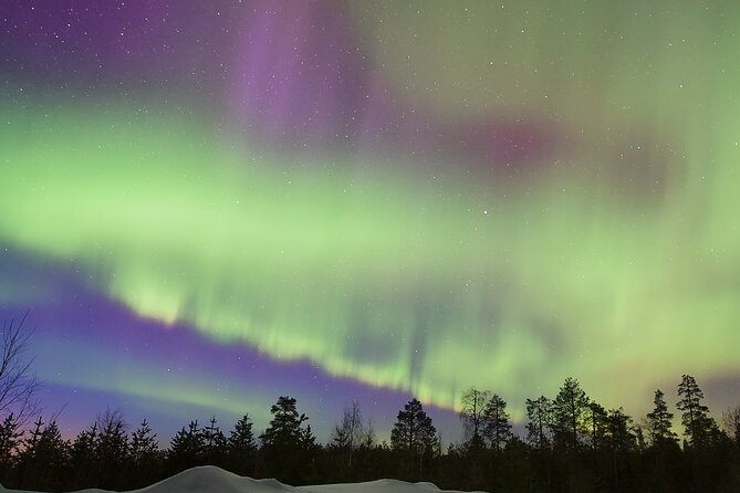 Lapland In A Day - Reindeer, Sledding, Snowmobile & Nature - A Lantern-Lit Forest Walk